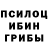 Галлюциногенные грибы Psilocybe ChinChapley grifforrd