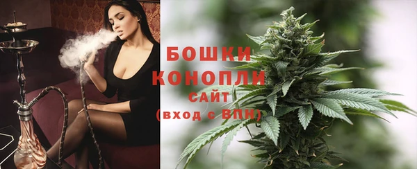 индика Балахна