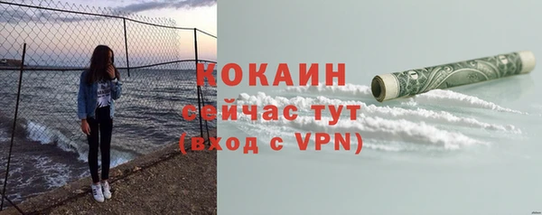 индика Балахна
