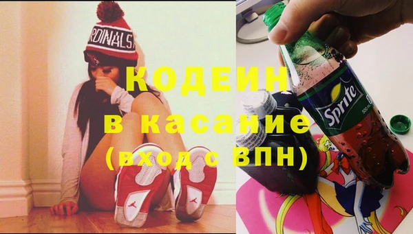 индика Балахна