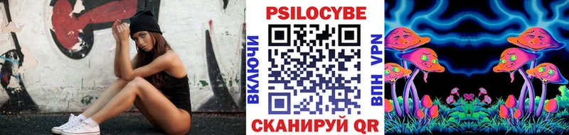 mega   Курган  площадка формула  Галлюциногенные грибы ЛСД 