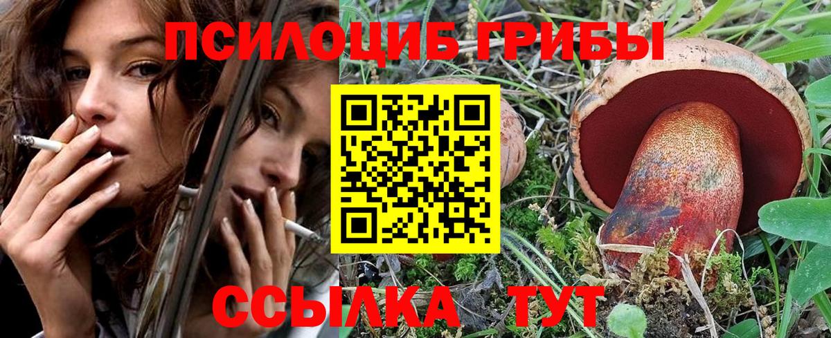 Псилоцибиновые грибы ЛСД Курган
